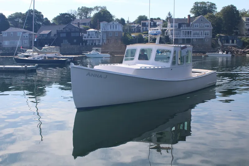 Slide: The Image of A 2020 Holland 32 boat named "Anna J" on calm water near coastal homes. - 31