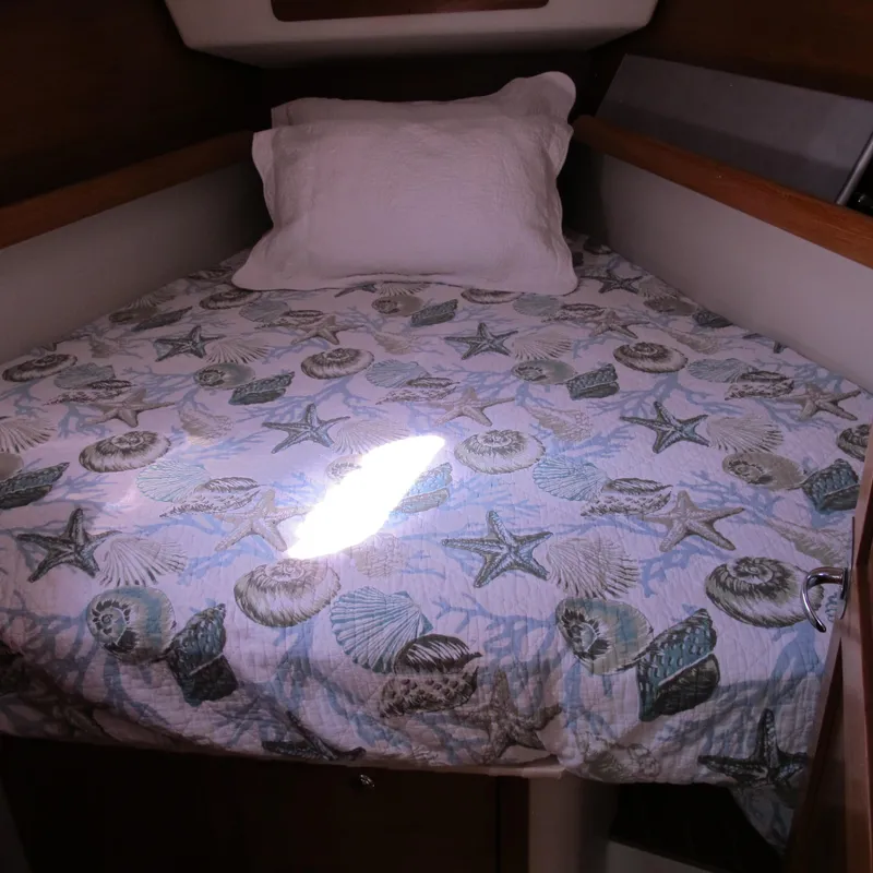 Slide: The Image of Cozy cabin bed in 2007 Catalina 387 sailboat with seashell-themed bedding. - 38