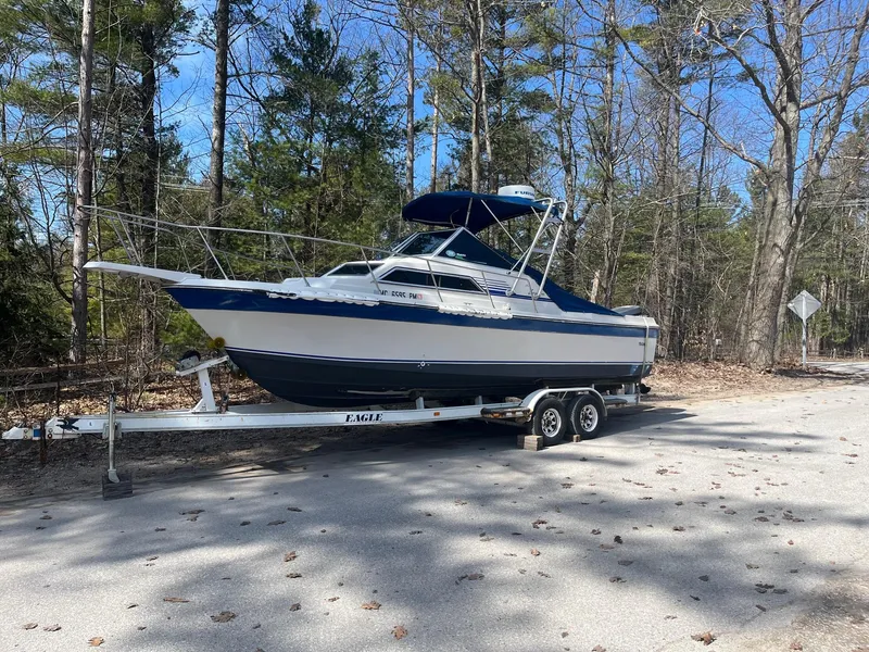 Slide: The Image of 1989 Wellcraft 250 Sportsman boat on trailer, parked on a wooded roadside. - 15