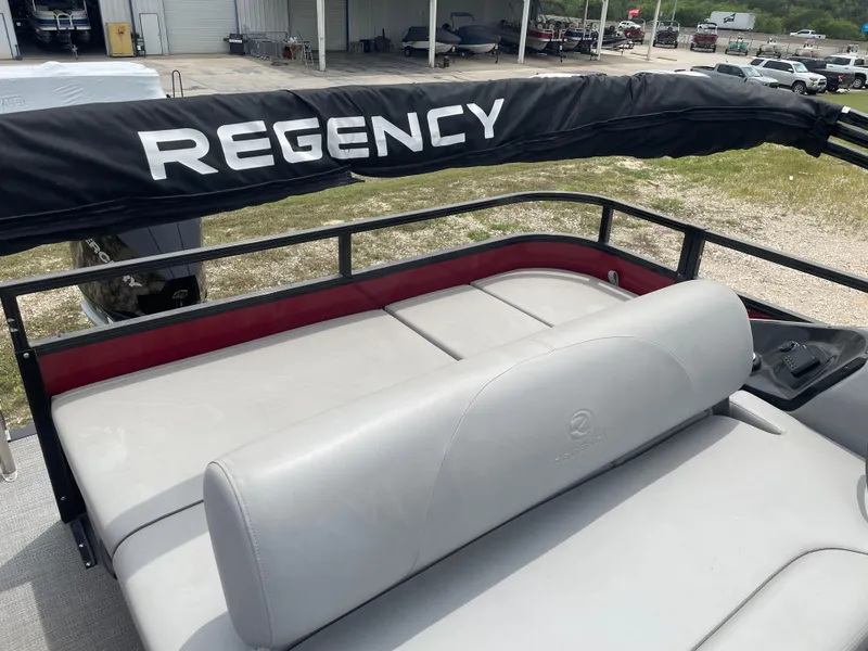 Slide: The Image of 2023 Regency 250DL3 boat with cushioned seating and protective cover. - 17