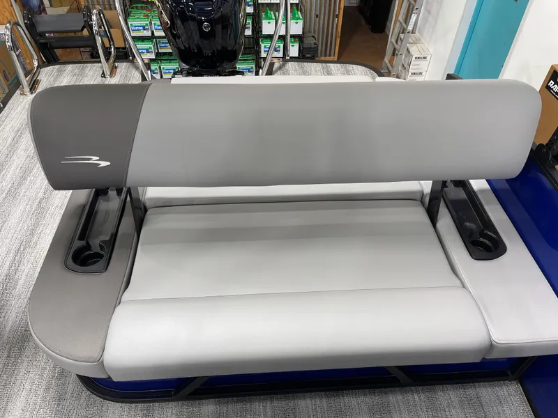 Slide: The Image of Bennington 25SSBSE 2025 - 20