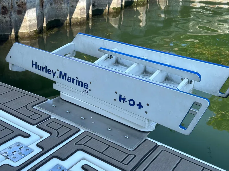 Slide: The Image of Hurley Davit - 4