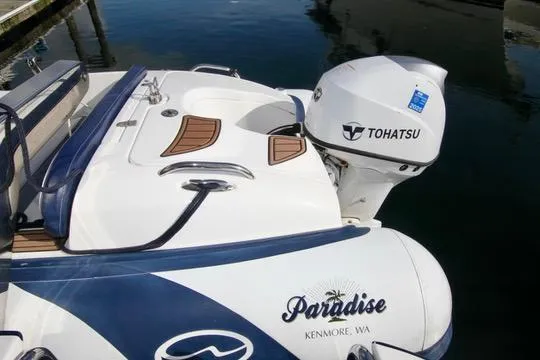 Slide: The Image of Prima 5230 1999 - 67