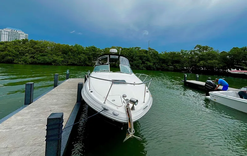 The Image of 2005 Sea Ray 280 Sundancer docked on a calm, green waterway. - 0