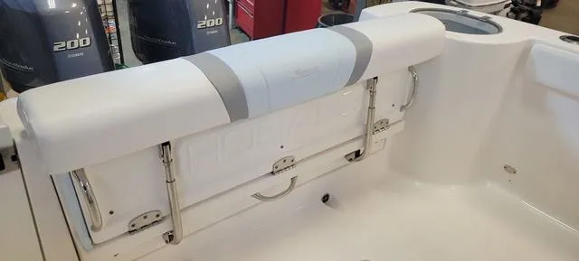 Slide: The Image of Robalo r272 2020 - 7