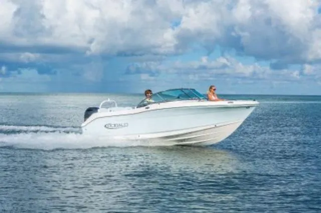 The Image of Robalo R207 Dual Console 2025 - 1