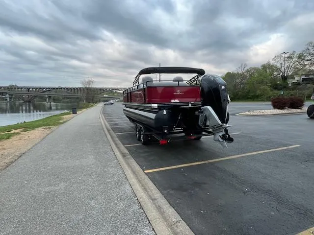 Slide: The Image of 2024 Regency 250 DL3 pontoon boat parked near a river under cloudy skies. - 11