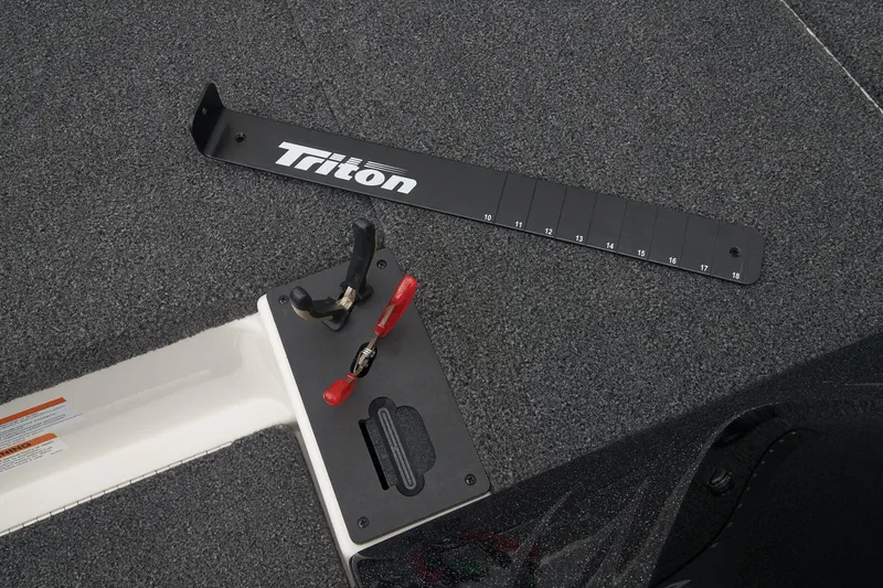 Slide: The Image of Triton 19 TrX Patriot 2024 - 25