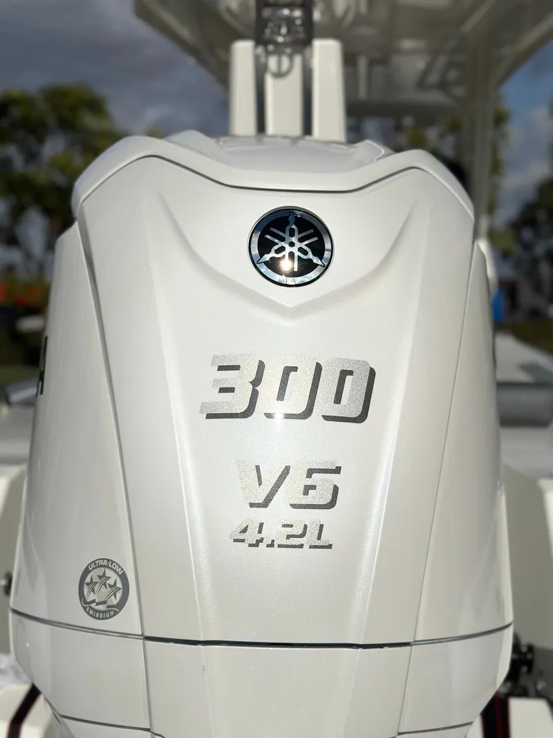 Slide: The Image of Brig Eagle 8 2025 - 20