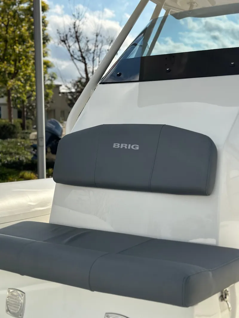 Slide: The Image of Brig Eagle 8 2025 - 21