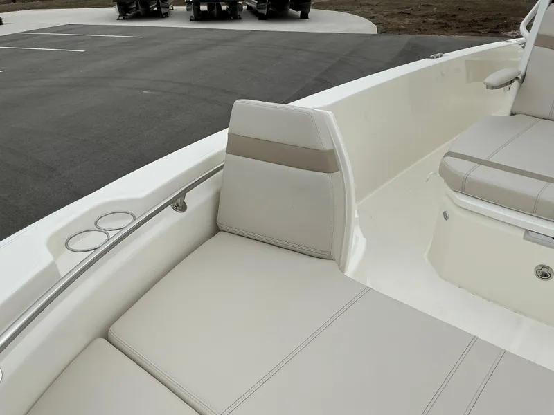 Slide: The Image of Boston Whaler 250 Dauntless 2025 - 10