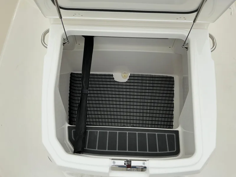 Slide: The Image of Boston Whaler 250 Dauntless 2025 - 12