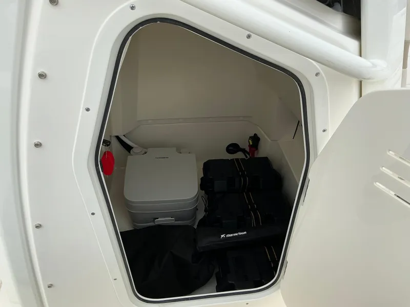 Slide: The Image of Boston Whaler 250 Dauntless 2025 - 13