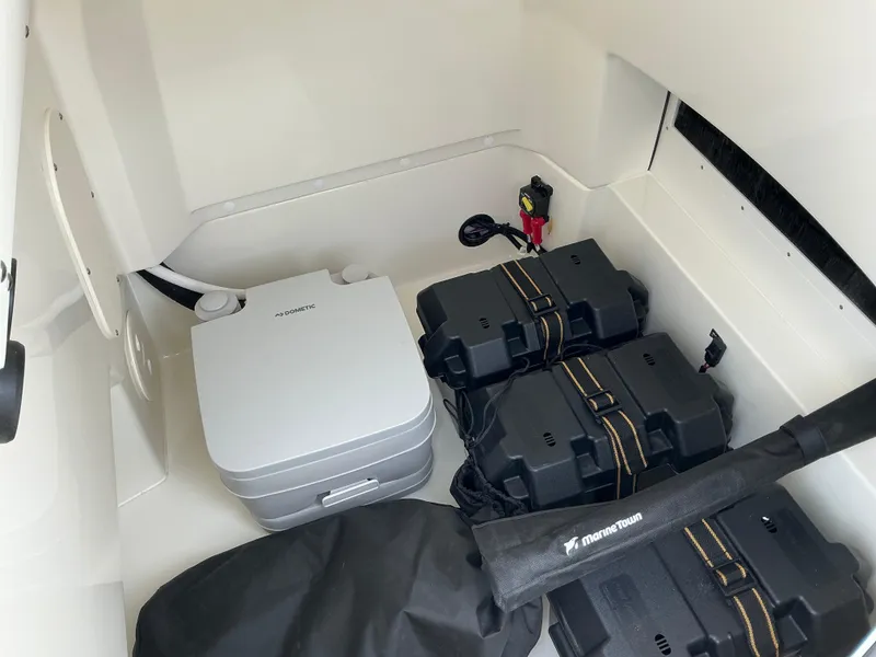 Slide: The Image of Boston Whaler 250 Dauntless 2025 - 14