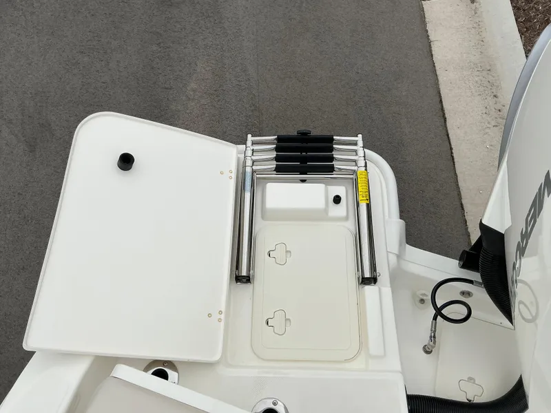 Slide: The Image of Boston Whaler 250 Dauntless 2025 - 17