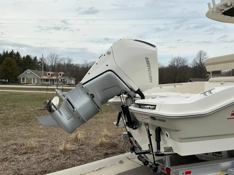 Slide: The Image of Boston Whaler 250 Dauntless 2025 - 18
