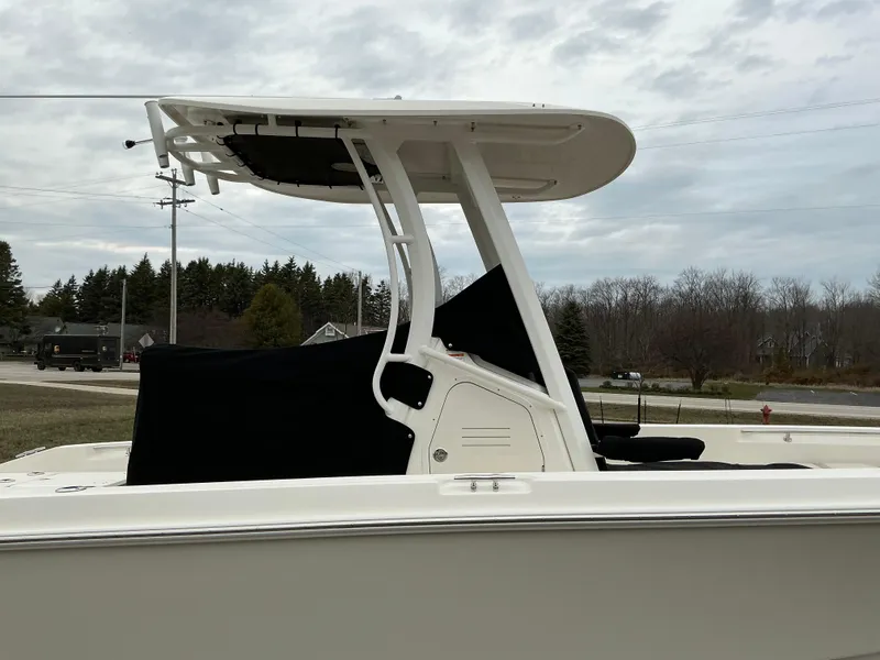 Slide: The Image of Boston Whaler 250 Dauntless 2025 - 2