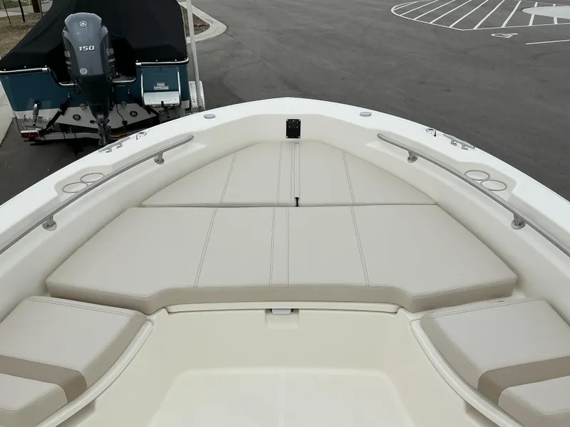 Slide: The Image of Boston Whaler 250 Dauntless 2025 - 9