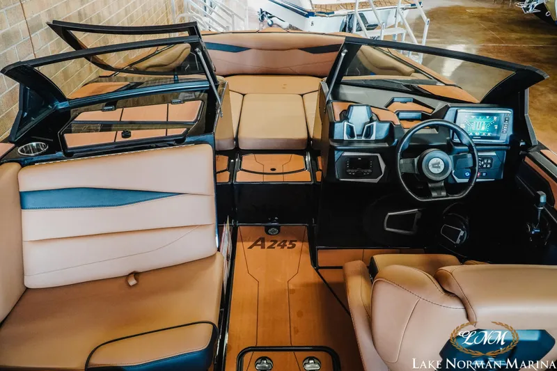 Slide: The Image of Axis A245 2025 - 12