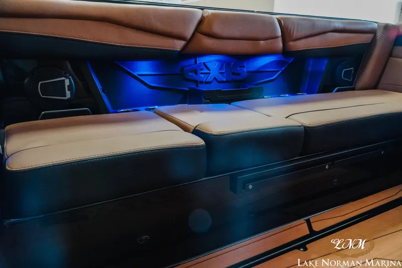 Slide: The Image of Axis A245 2025 - 18