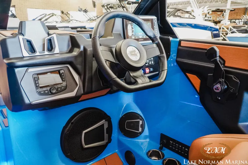 Slide: The Image of Axis T235 2025 - 13