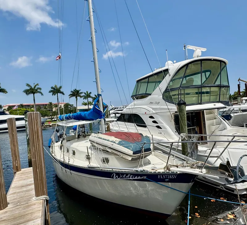 Slide: The Image of 1974 Irwin 37 sailboat docked at marina with palm trees and blue sky. - 37
