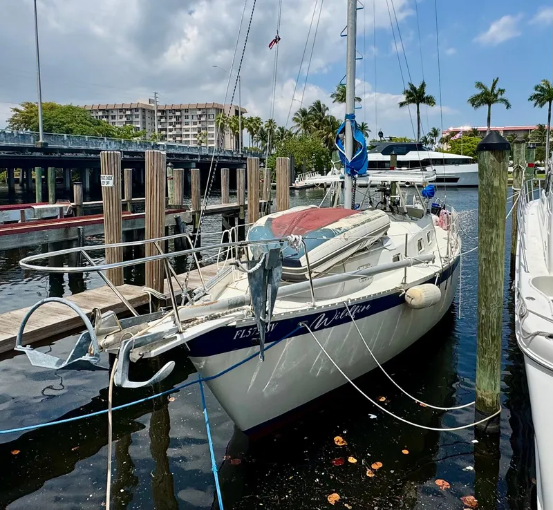 Slide: The Image of 1974 Irwin 37 sailboat docked at marina, surrounded by palm trees and buildings. - 39