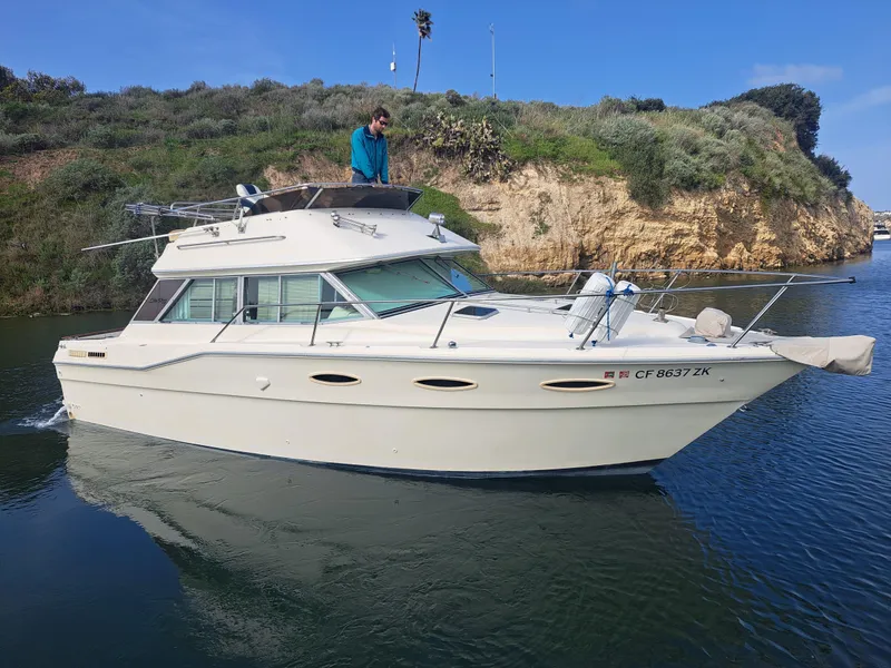The Image of Sea Ray 300 Sedan Bridge 1986 - 0