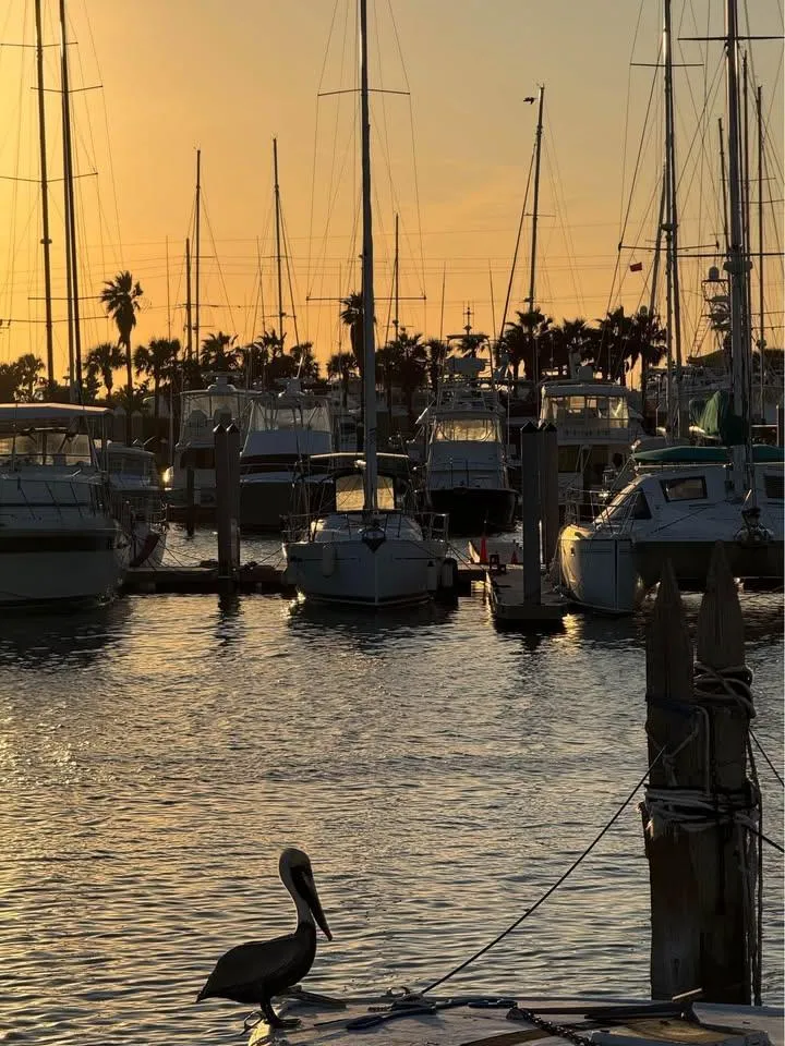 Slide: The Image of Sunset marina with Beneteau Oceanis Clipper 343 sailboats and a pelican on the dock. - 14