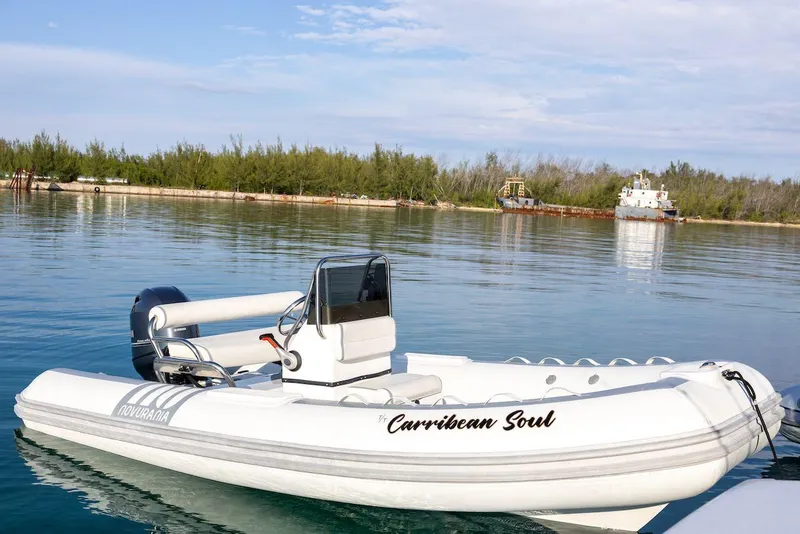 Slide: The Image of Novurania RIB - 26