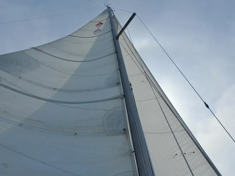 Slide: The Image of Sail of a 1985 Catalina 30 yacht against a clear sky. - 29