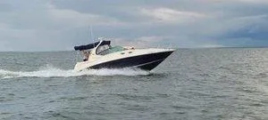 Slide: The Image of 2005 Sea Ray 320 Sundancer cruising on open water under cloudy skies. - 5