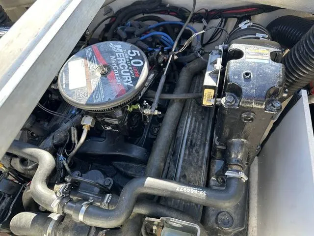 Slide: The Image of Sea Ray 195BR Sport 2008 - 10