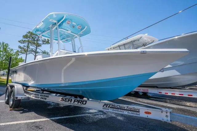 Slide: The Image of Sea Pro 210DLX 2025 - 7