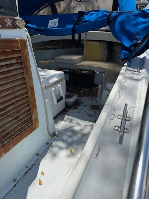 Slide: The Image of Boston Whaler Outrage 1975 - 5
