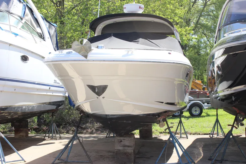 The Image of 2005 Sea Ray 290 Sundeck boat on stands, surrounded by trees and other boats. - 1