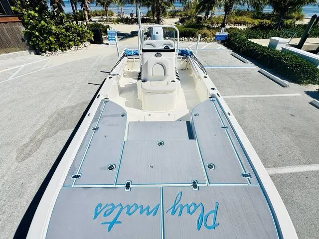 Slide: The Image of 2021 Sea Born FX24 boat parked near beach with palm trees in background. - 18