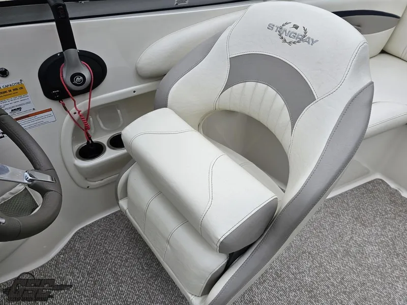 Slide: The Image of Stingray 225 LR 2013 - 61