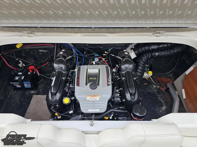 Slide: The Image of Stingray 225 LR 2013 - 98