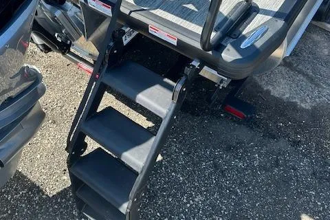 Slide: The Image of Sturdy black steps leading to a Viaggio Diamante S 2025 vehicle. - 8