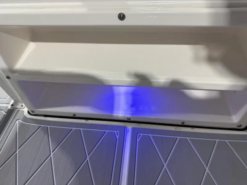 Slide: The Image of Robalo 246 Cayman 2023 - 116