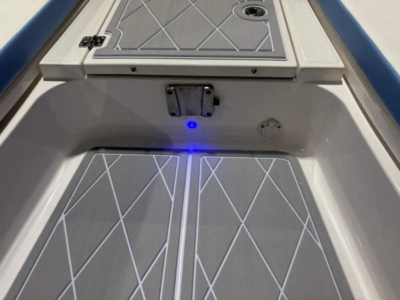 Slide: The Image of Robalo 246 Cayman 2023 - 117