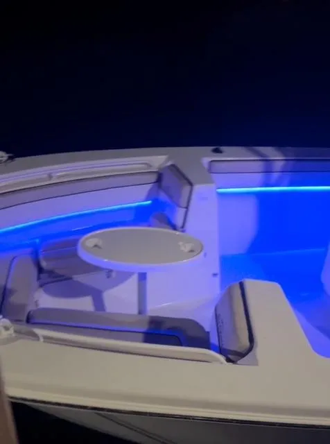 Slide: The Image of 2020 Sea Chaser 30 HFC CC boat with blue LED interior lighting. - 24