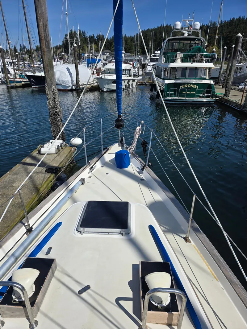 Slide: The Image of Sailboat docked in marina, Pearson 385 model, 1985, surrounded by other boats. - 7