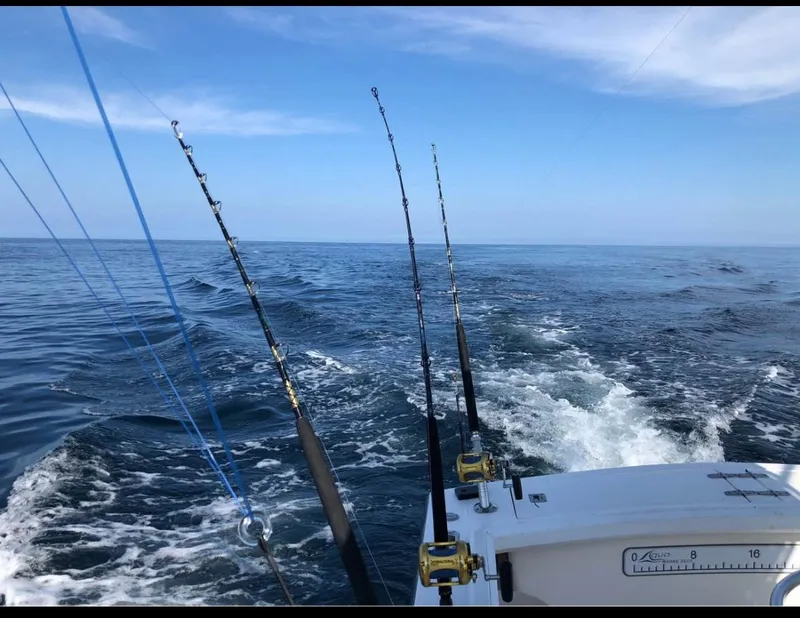 Slide: The Image of 1998 Albemarle 242 Center Console boat with fishing rods on open ocean. - 10