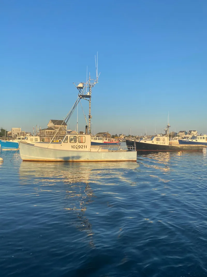 Slide: The Image of Duffy 35 Duffy 1994 - 5