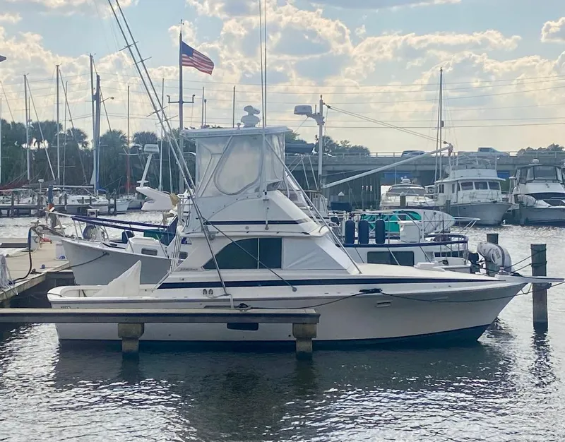 The Image of Bertram 35 Convertible 1974 - 0