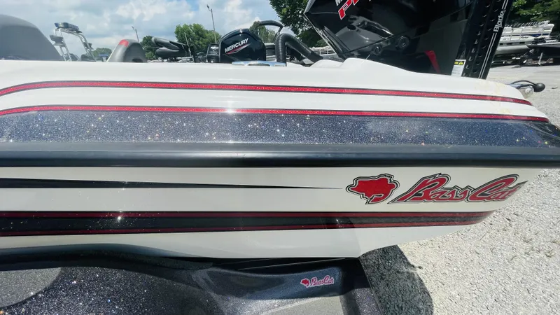 Slide: The Image of Bass Cat Caracal 2021 - 10