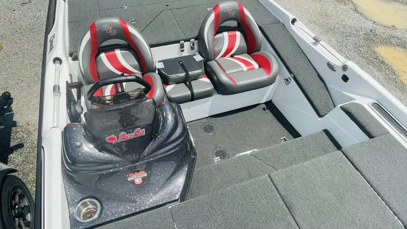 Slide: The Image of Bass Cat Caracal 2021 - 12