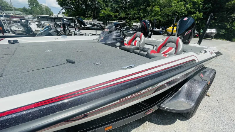 Slide: The Image of Bass Cat Caracal 2021 - 3